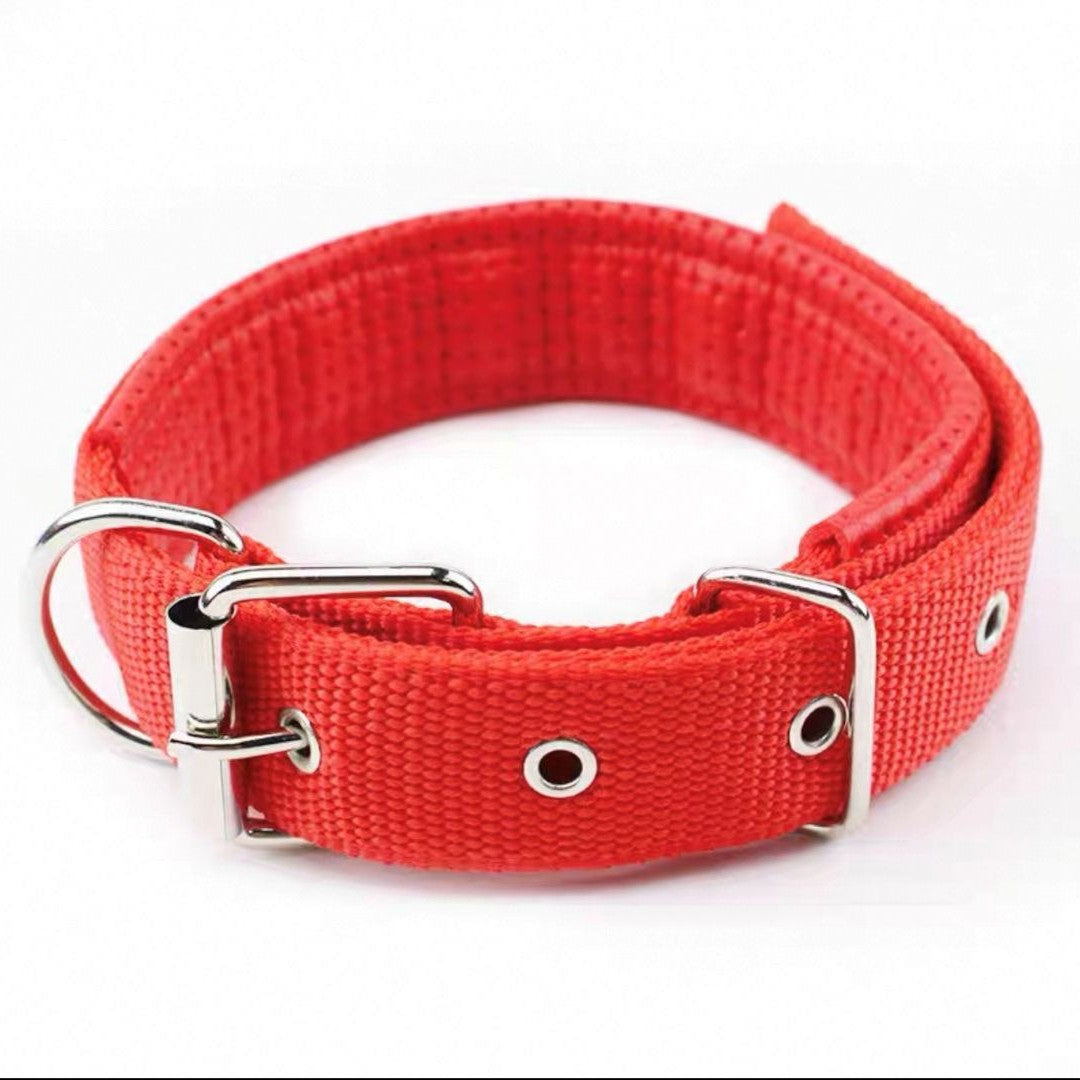VitaChain Slip Collar